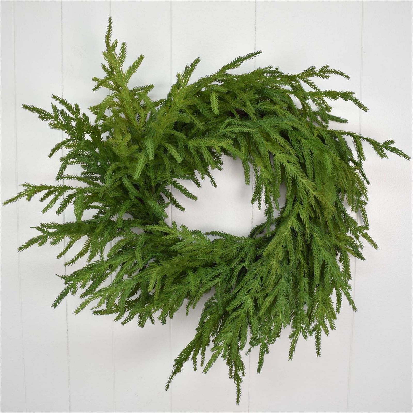 Twenty-four inch real-touch Norfolk pine wreath with soft draping branches, hung on white shiplap